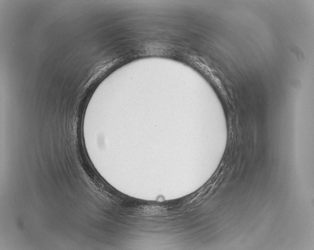 X0000115710154200912101245