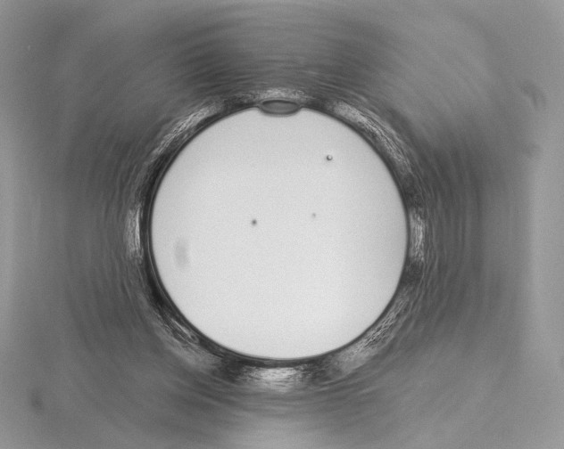 X0000115710158200912101245