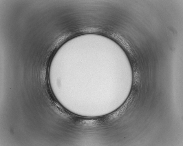 X0000115710159200912101245