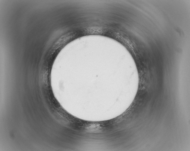 X0000115710162200912101245