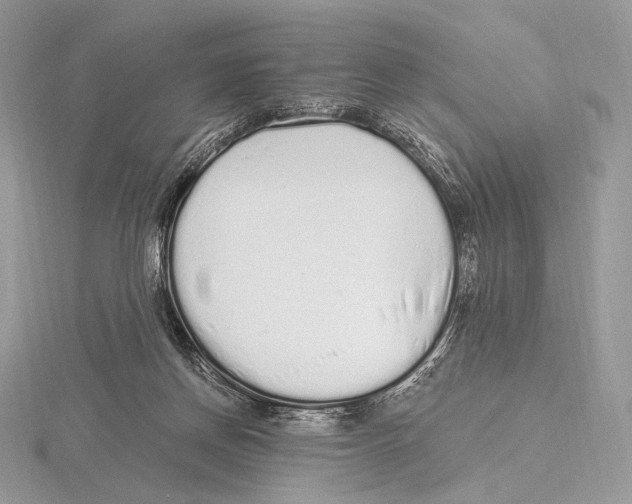 X0000115710166200912101245