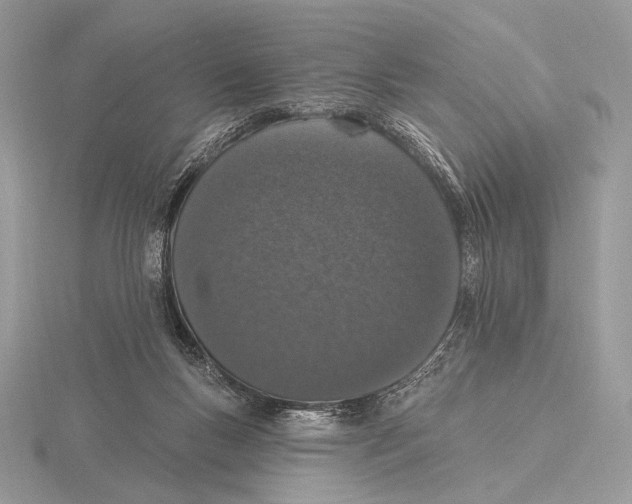 X0000115710167200912101245