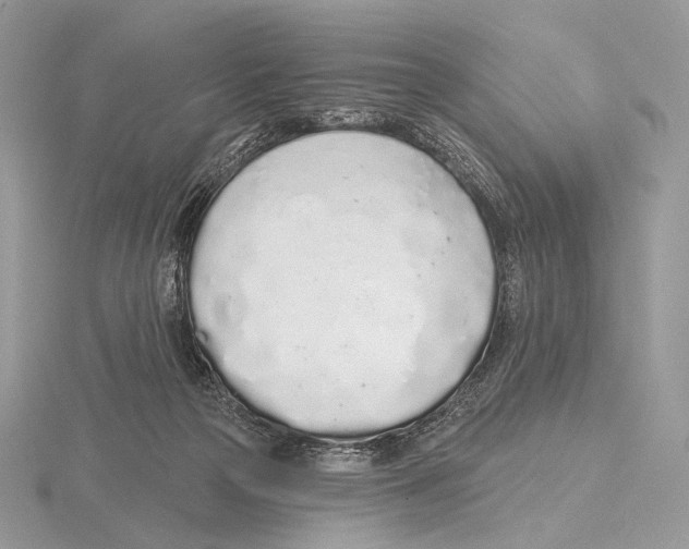 X0000115710169200912101245