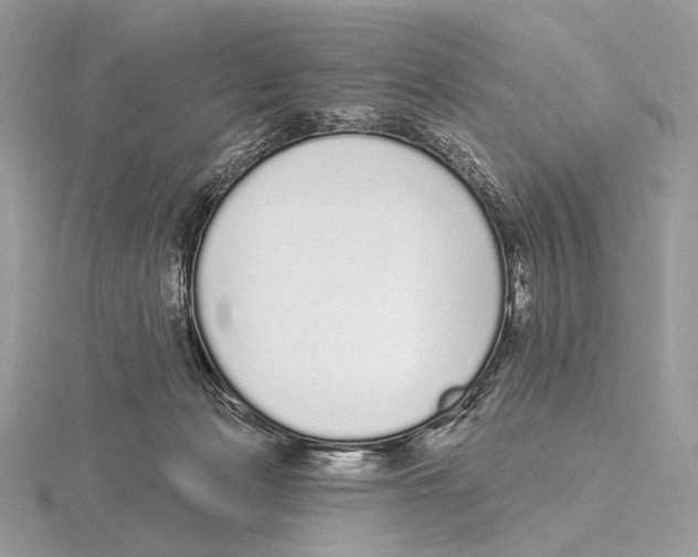 X0000115710173200912101245