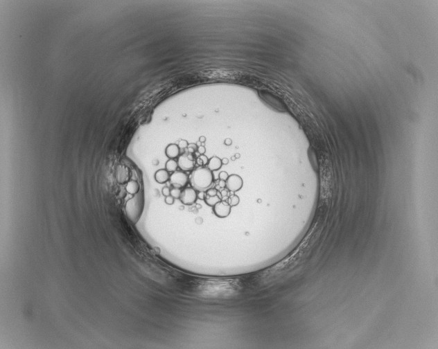 X0000115710175200912101245