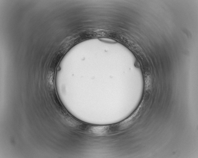 X0000115710178200912101245