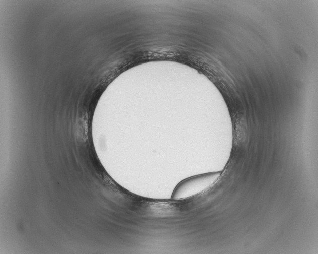 X0000115710183200912101245