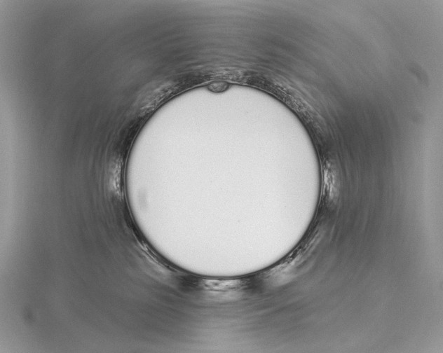 X0000115710185200912101245