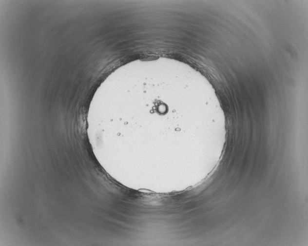 X0000115710190200912101245