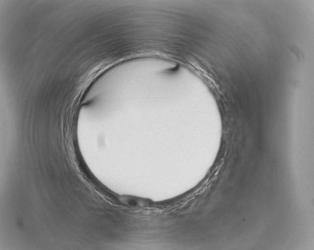 X0000115710193200912101244