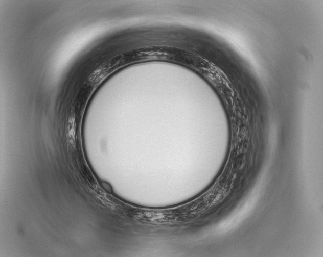 X0000115710194200912101244