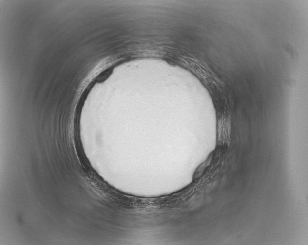 X0000115710195200912101244