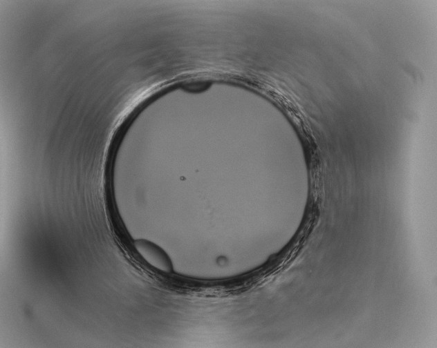 X0000115710196200912101244