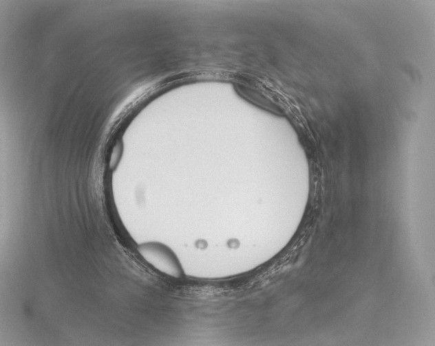 X0000115710197200912101244