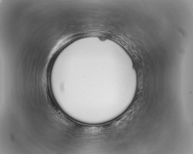 X0000115710198200912101244