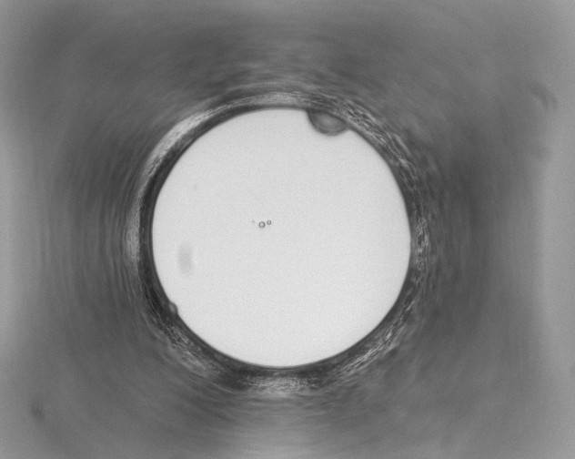 X0000115710200200912101244