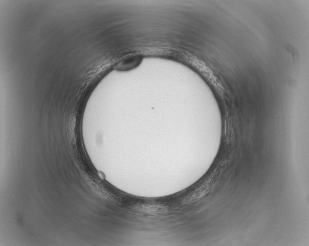 X0000115710201200912101244