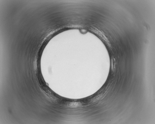 X0000115710204200912101244