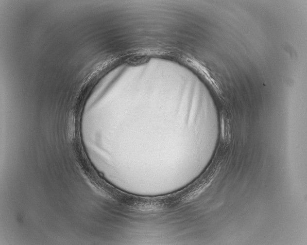 X0000115710205200912101244