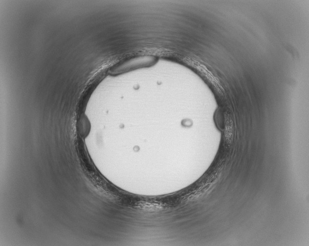 X0000115710207200912101244