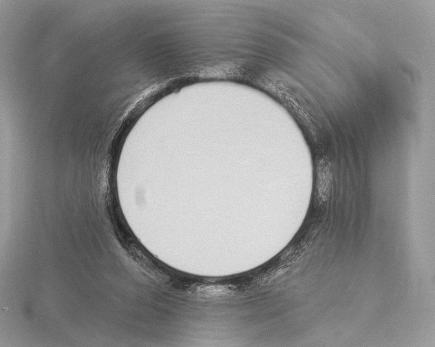 X0000115710208200912101244