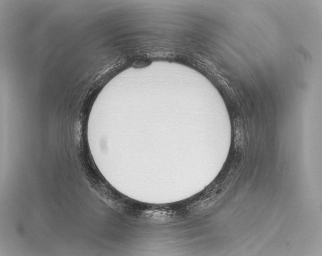 X0000115710211200912101244