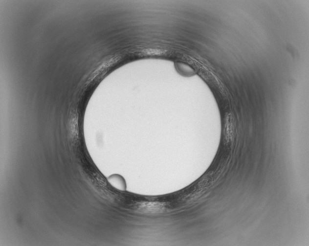 X0000115710212200912101244