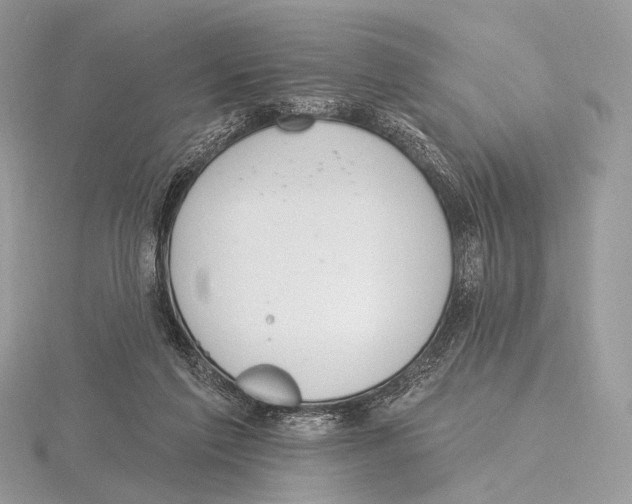 X0000115710213200912101244