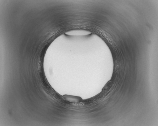 X0000115710215200912101244