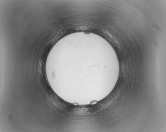 X0000115710217200912101244