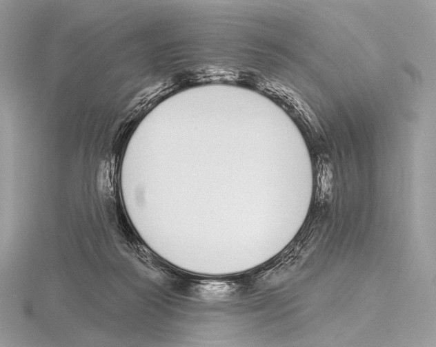 X0000115710218200912101244