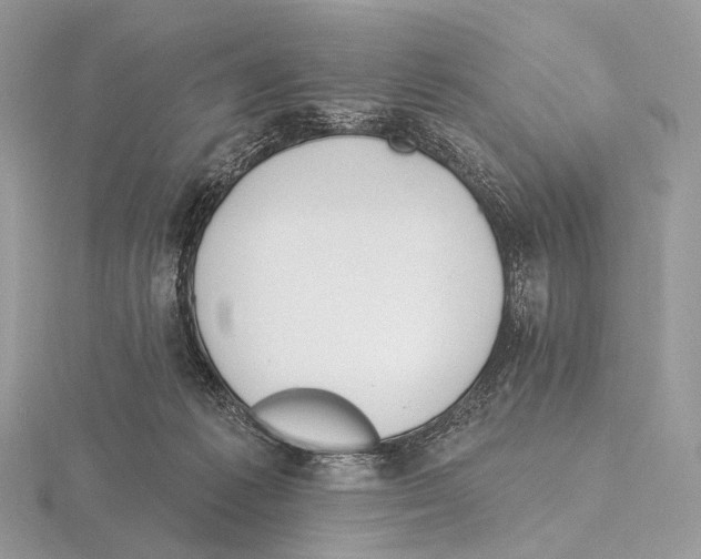 X0000115710221200912101244