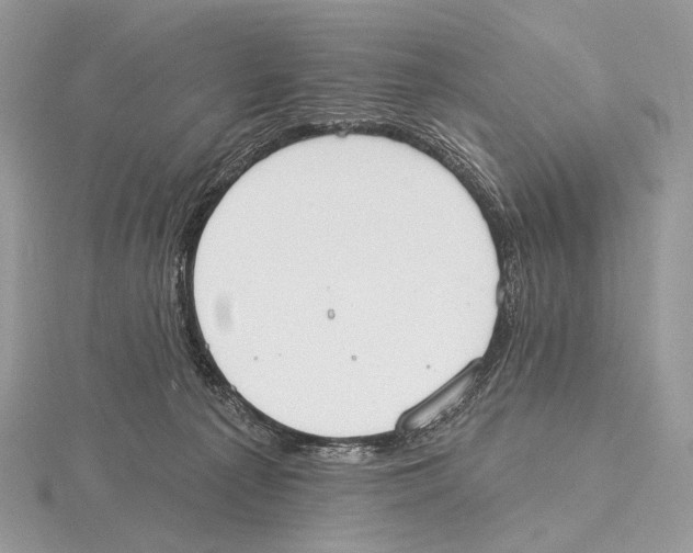 X0000115710225200912101244