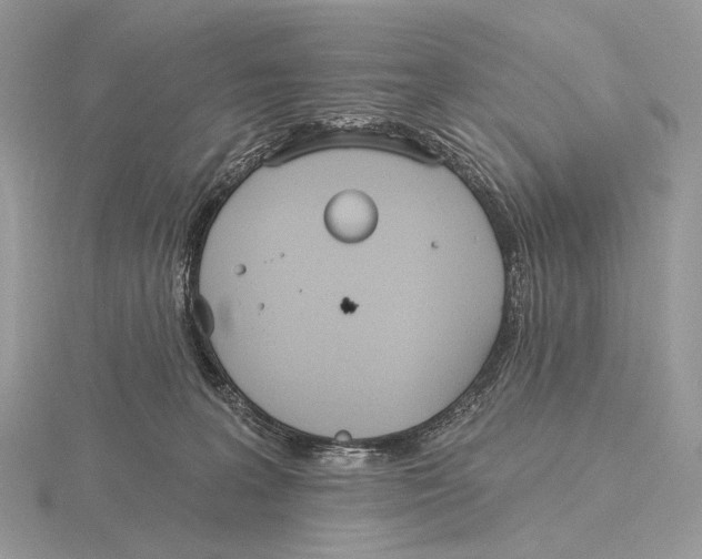 X0000115710227200912101244