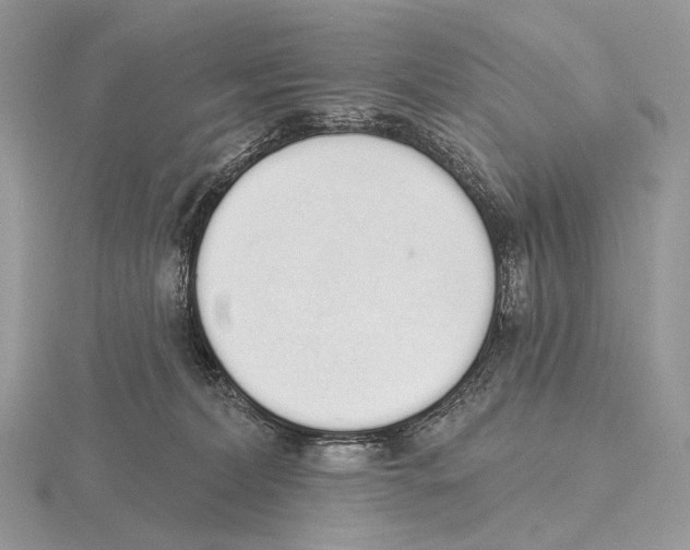 X0000115710228200912101244