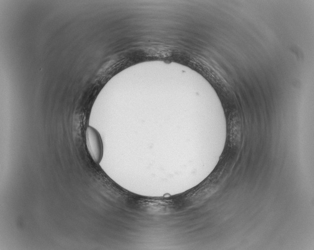 X0000115710229200912101244