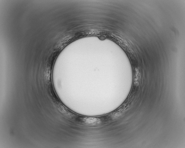 X0000115710230200912101244