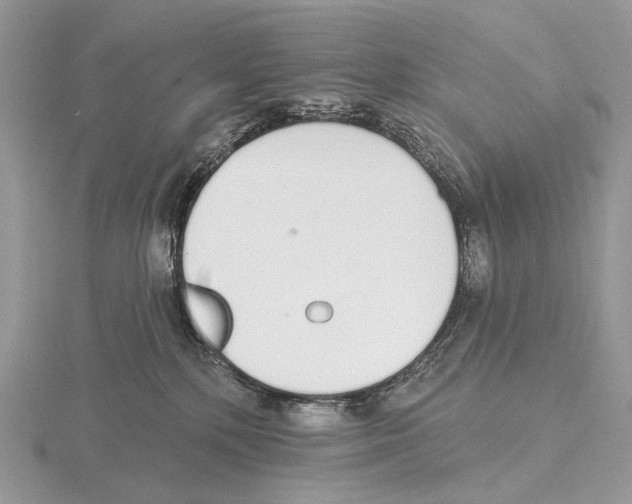 X0000115710232200912101244