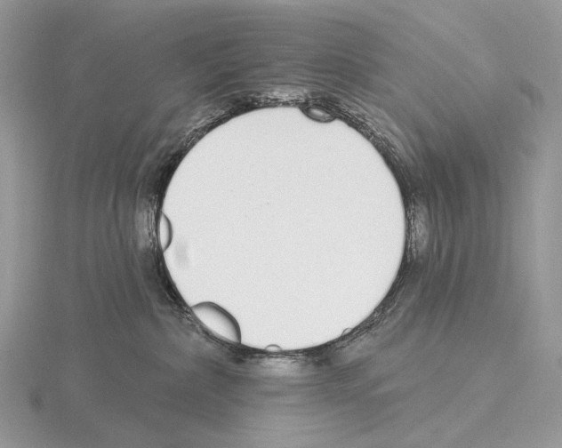 X0000115710236200912101244