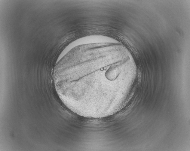 X0000115710237200912101244