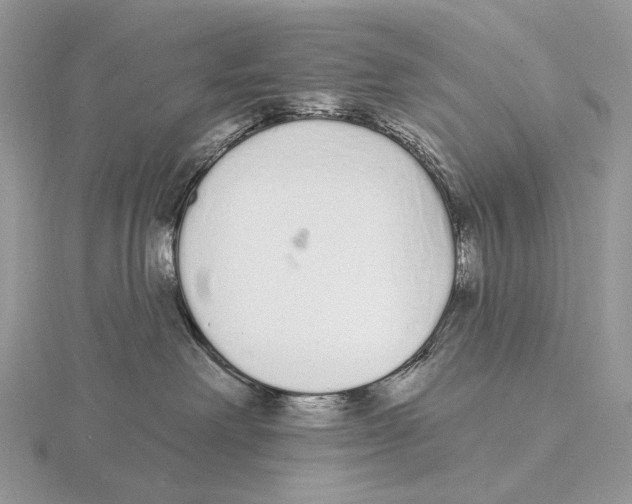 X0000115710238200912101244