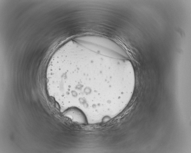 X0000115710241200912101243