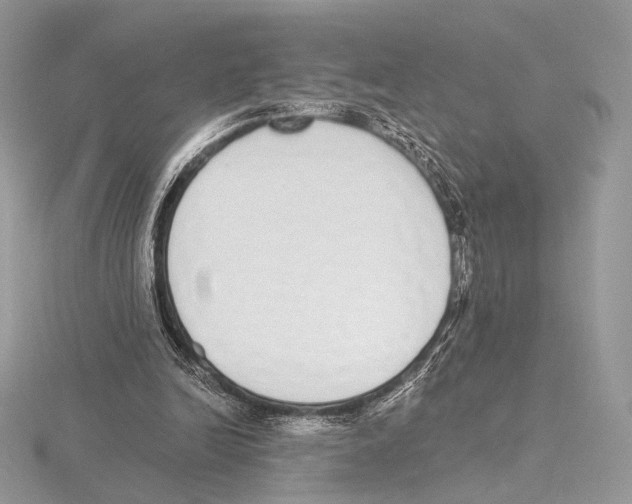 X0000115710246200912101243