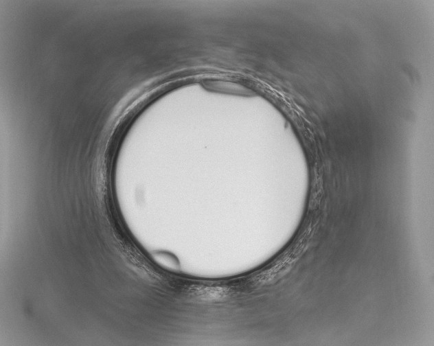 X0000115710247200912101243