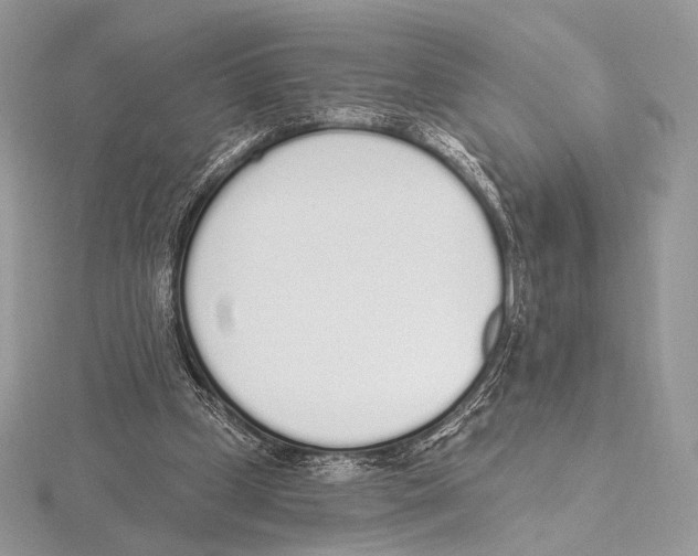 X0000115710249200912101243