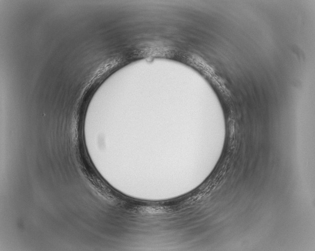 X0000115710250200912101243