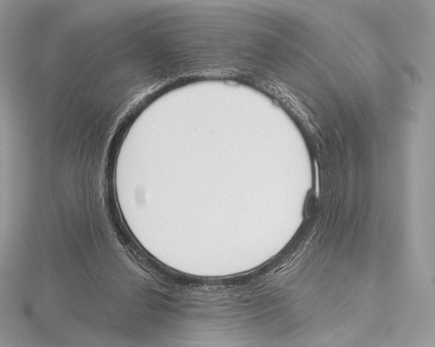 X0000115710252200912101243