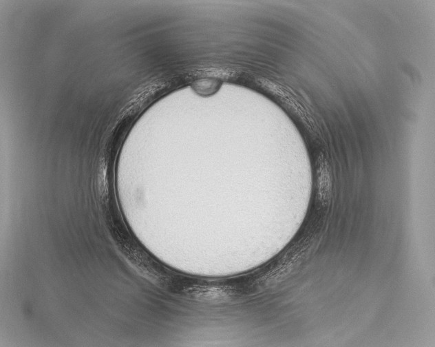 X0000115710254200912101243