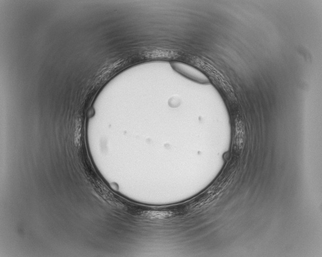 X0000115710255200912101243