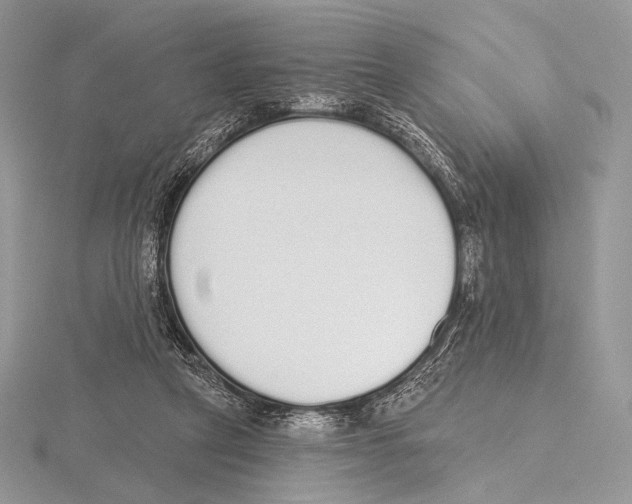 X0000115710257200912101243